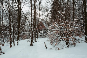 hut house in a winter snowy forest