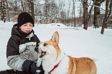 Boy and corgi dog playing with an icicle in the village in winter