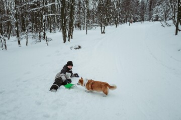 boy is snowboarding in a winter snowy forest and fell. And a corgi dog
