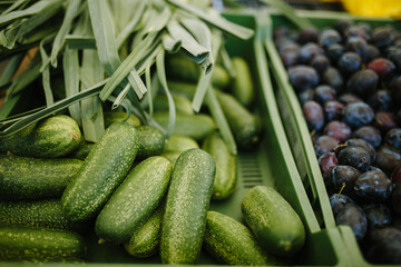 Cucumbers and parey onions and plums lie in a box on the counter.