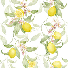 Seamless pattern of lemons. Lemon tree branches, lemon fruits and flowers in a beautiful pattern for your projects