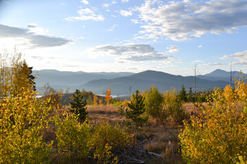 Mountain Peaks Through Warm Autumn Season Trees at Sunrise in Colorado