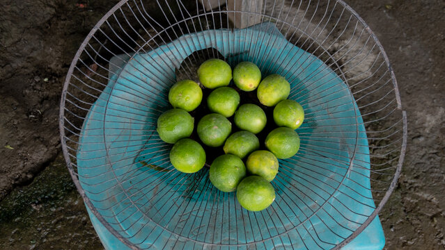 A rustic wire bowl, old fan guard, of locally grown and freshly picked ripe green and yellow citrus limes in Timor-Leste, Southeast Asia - Powered by Adobe