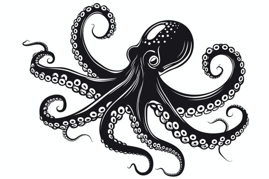 Black Illustration Octopus