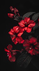 Red Flowers