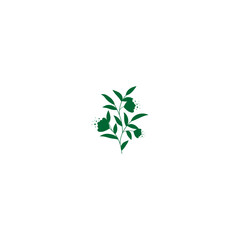 plant with green leaves vector leaf
