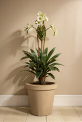 Ornamental green blooming houseplant with wide leaves stands on floor in beige ceramic pot, on background of beige wall with space for text. Side natural lighting. Copy space.