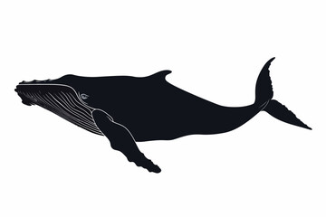Obraz premium Silhouette Of Whale