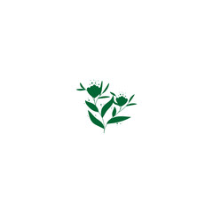 Fototapeta na wymiar plant with green leaves vector leaf