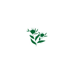 plant with green leaves vector leaf