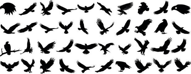 Eagle silhouettes, soaring, landing, vector collection