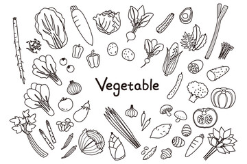 シンプルな野菜の線画イラストセット - obrazy, fototapety, plakaty