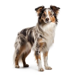 A dog in full view, distinct and vivid against a white backdrop, Ai Generated