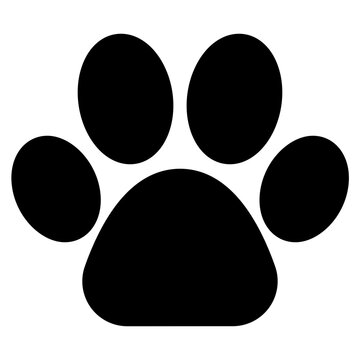 Footprint Icon