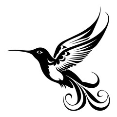 Obraz premium hummingbird icon illustration, hummingbird silhouette logo svg vector