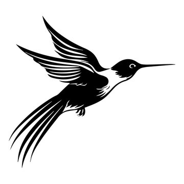 recommend clip art: hummingbird icon illustration, hummingbird silhouette logo svg vector