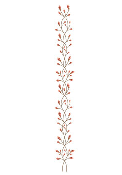 red white flowers combrang