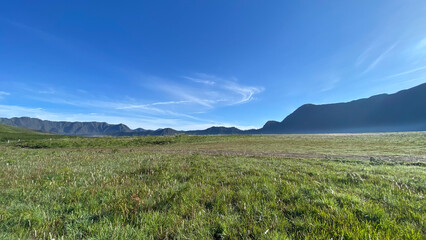 Fototapeta premium Picture of field in the mountain with blue sky in Bromo Indonesia