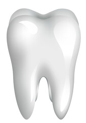 Realistic 3d clean white tooth isolated on transparent background. Png illustration. 