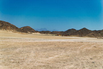 Daily scene from Egyptian desert during hot sunny day.