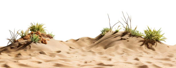 Beach or desert, sand cut out