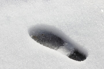 雪降りの足跡