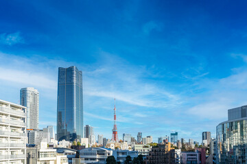 Fototapeta na wymiar Panoramic view of Tokyo, Japan