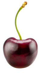 Red Cherry isolated on white background, Red Cherry on White Background PNG file.