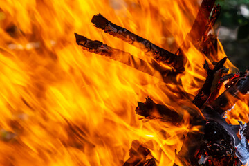 Flame of charcoal fire. Hearth for cooking and heating. Danger in forest
