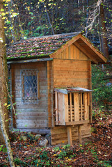 Fototapeta na wymiar In einem dichten Wald steht ein kleines Holzhaus mit moosbewachsenem Dach.