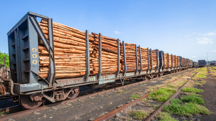 Train Trailers Tree Logs Cargo Import Export Agriculture Business. - 722821959