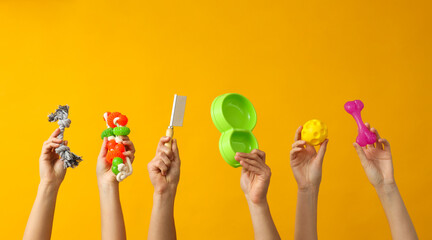 The concept of pets, things in the hands of many women.