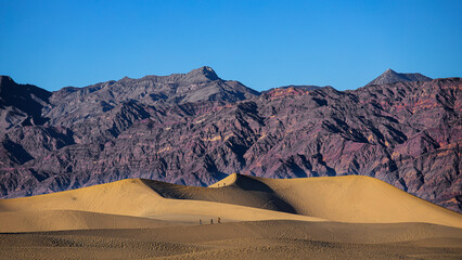 Fototapeta na wymiar Désert du Mojave à Death Valley, Californie, USA. Dunes de sables de Mesquite Flat Sand Dunes bordée de montagnes sous un ciel bleu.