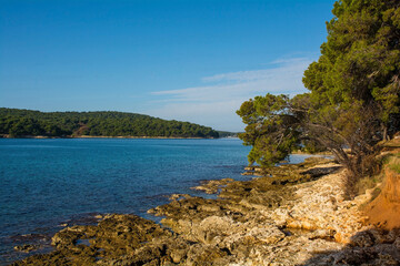 Fototapeta na wymiar The coast of the Kasteja Forest Park - Park Suma Kasteja - in Medulin, Istria, Croatia. Premantura peninsula is in the background. December