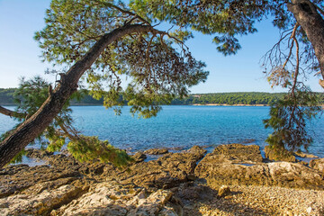 The rugged limestone coast of the Kasteja Forest Park - Park Suma Kasteja - in Medulin, Istria, Croatia. Premantura peninsula is in the background. December