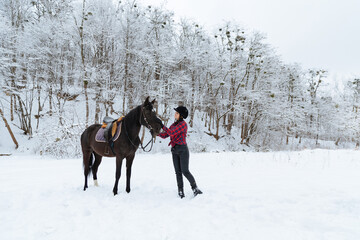 A beautiful brunette girl in a plaid black-and-white shirt walks with a big black horse in a snowy...