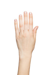 Beautiful woman's hand. Transparent PNG