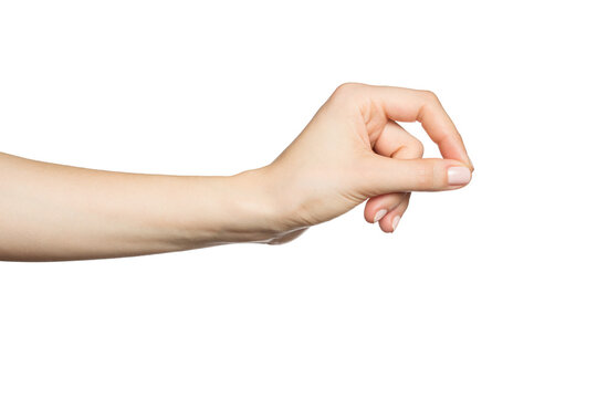 Woman's hand holding something. Transparent PNG