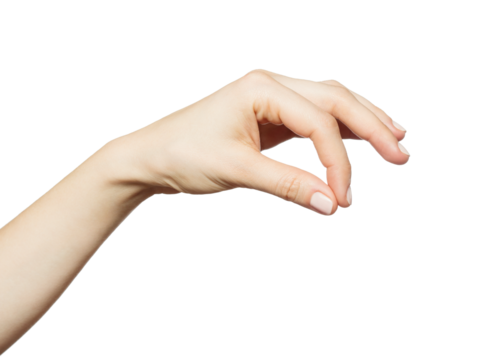 Woman's hand holding something. Transparent PNG