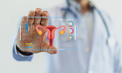 Doctor holding uterus health therapy care checkup, reproductive system, HPV, papillomavirus, HPV vaccine, cervical cancer, stomach ache, insurance and hospital, Woman healthcare