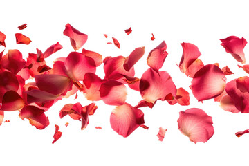 Rose petals in the air, cut out - stock png.