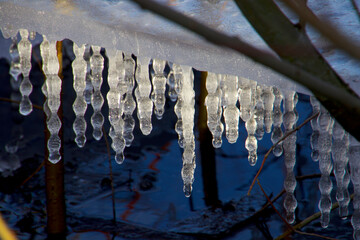 Lots of dripping icicles under the ice