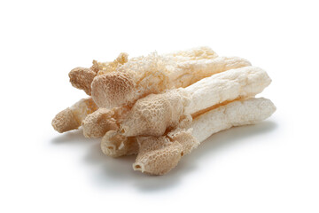 Heap of dried bamboo mushroom on white background. Dictyophora indusiata