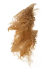 Fotobehang Sand Storm desert with wind blow spin around. Golden yellow sand tornado storm with high wind. Fine Sand circle around, White background Isolated throwing particle element object © Jade