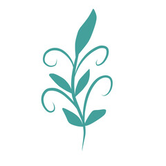 Plants leaves drawing 