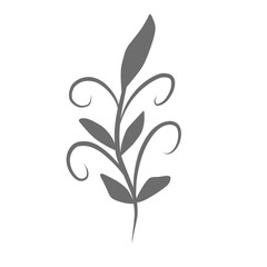 Plants leaves drawing 