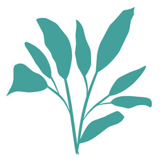 Plants leaves drawing 