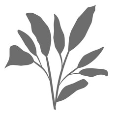 Plants leaves drawing 