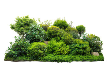Lush green bush, cut out - stock png. - obrazy, fototapety, plakaty