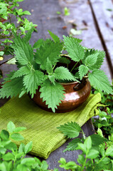 Fresh nettles in a copper pot, green cloth, collection of medicinal plants, alternative medicine, old garden